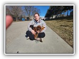 English Toy Spaniel (68)