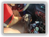 Englsh Toy Spaniel (21)