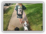 Englsh Toy Spaniel (25)