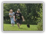 Englsh Toy Spaniel (268)