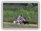 Englsh Toy Spaniel (358)