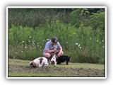 Englsh Toy Spaniel (359)