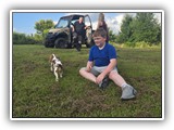 Englsh Toy Spaniel (381)