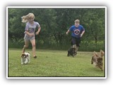 Englsh Toy Spaniel (573)