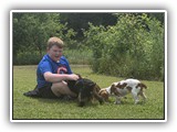 Englsh Toy Spaniel (580)