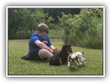 Englsh Toy Spaniel (581)