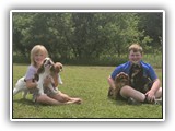 Englsh Toy Spaniel (585)