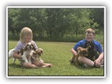 Englsh Toy Spaniel (588)