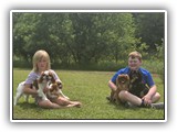 Englsh Toy Spaniel (589)