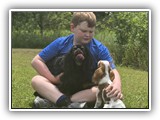 Englsh Toy Spaniel (594)