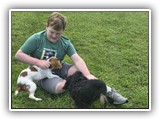 Englsh Toy Spaniel (627)