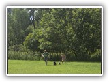 Englsh Toy Spaniel (630)