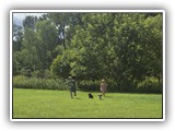 Englsh Toy Spaniel (631)