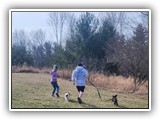 Englsh Toy Spaniel (69)