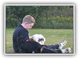 Englsh Toy Spaniel (791)