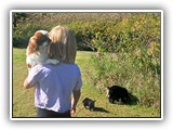 Englsh Toy Spaniel (876)