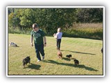 Englsh Toy Spaniel (877)
